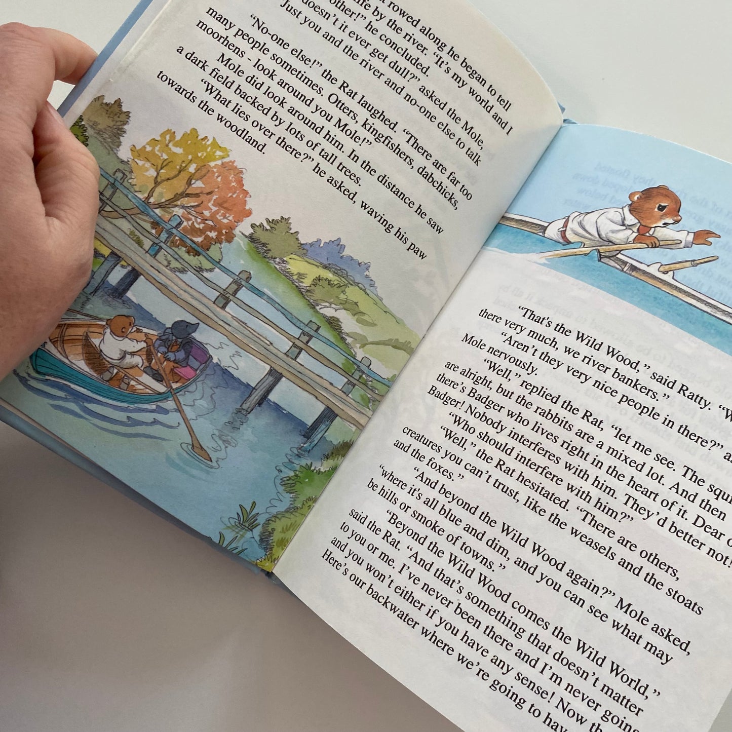 The Wind In The Willows The River Bank Book