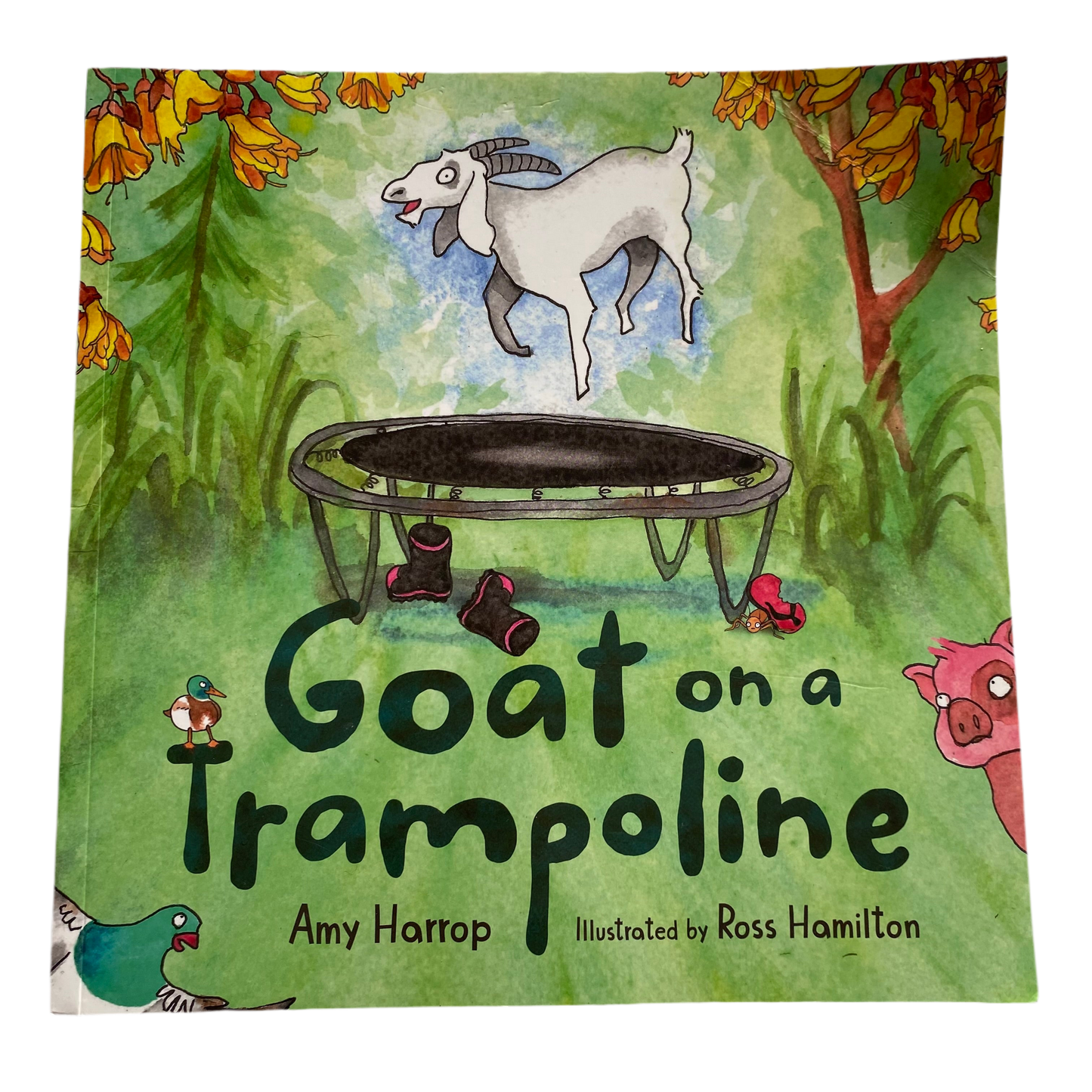 Goat On A Trampoline Book