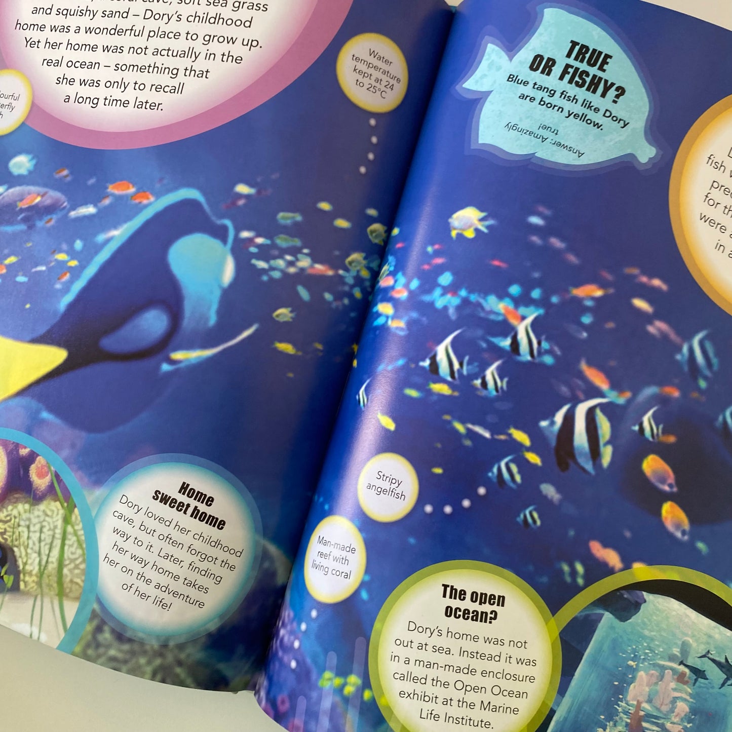 Finding Dory / Nemo The Essential Guide Book