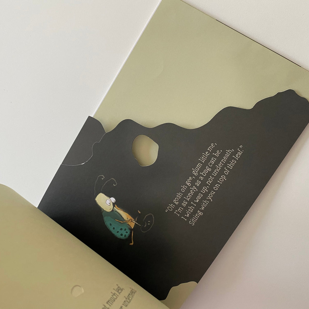 Two Little Bugs Book