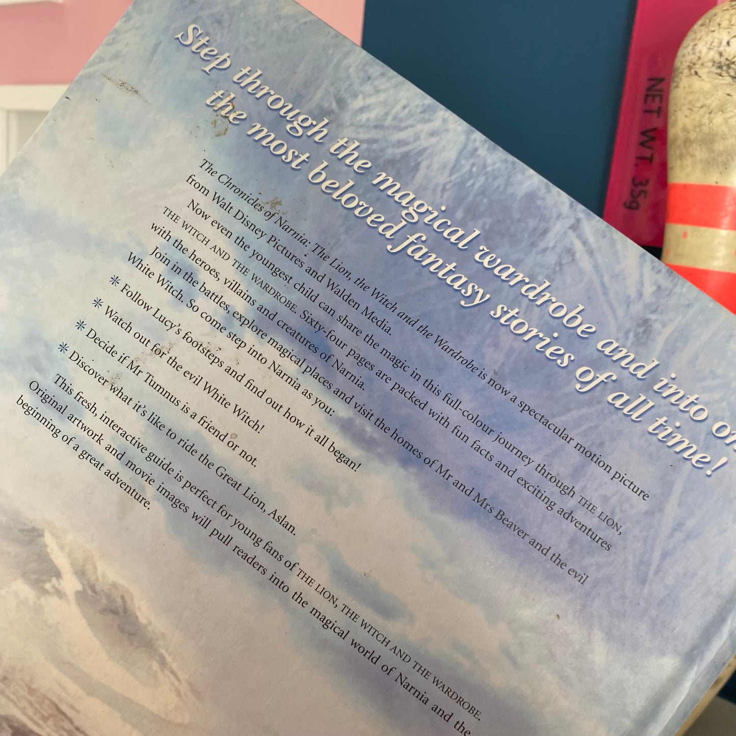 Step Into Narnia Book