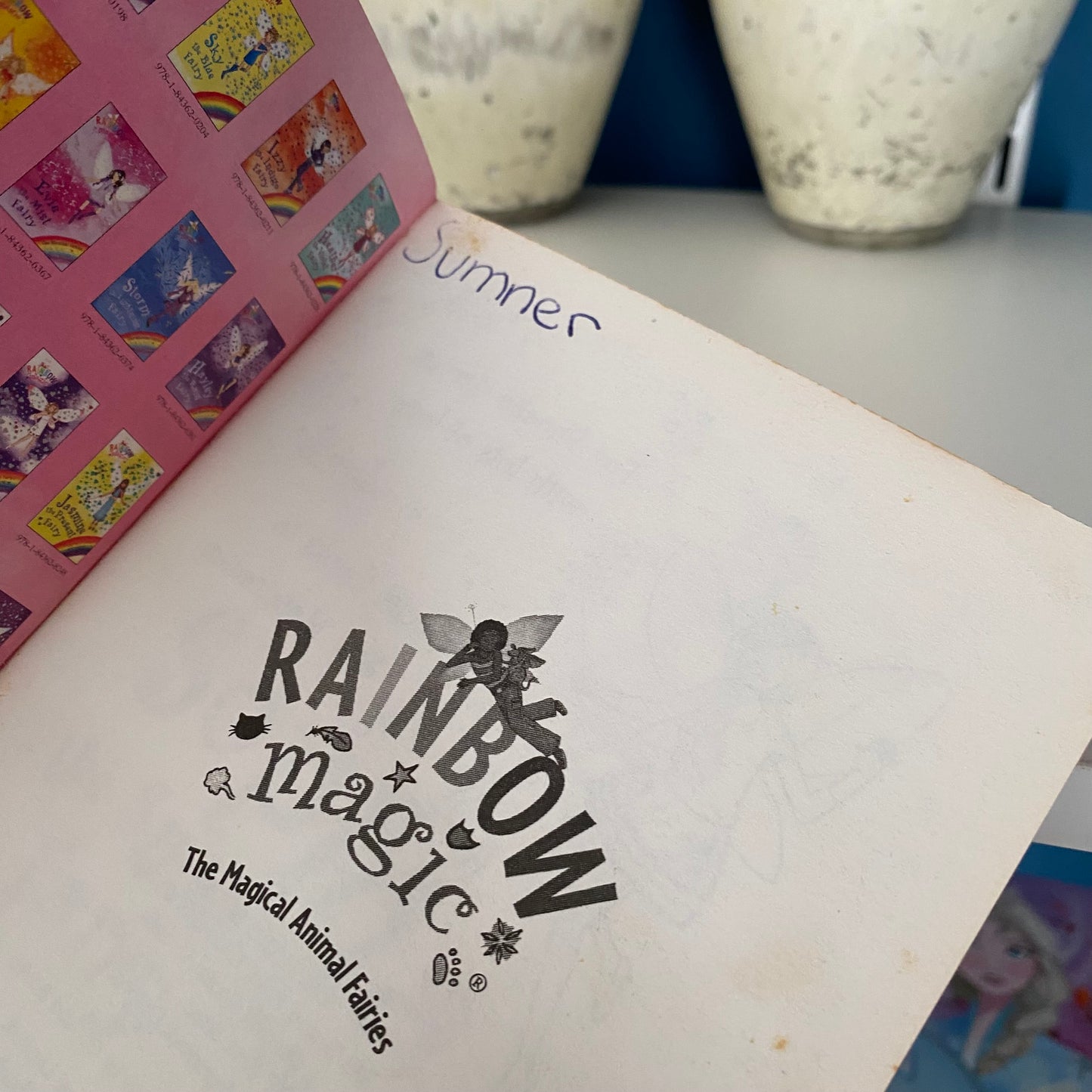 Rainbow Magic Sophia The Snow Swan Fairy Chapter Book