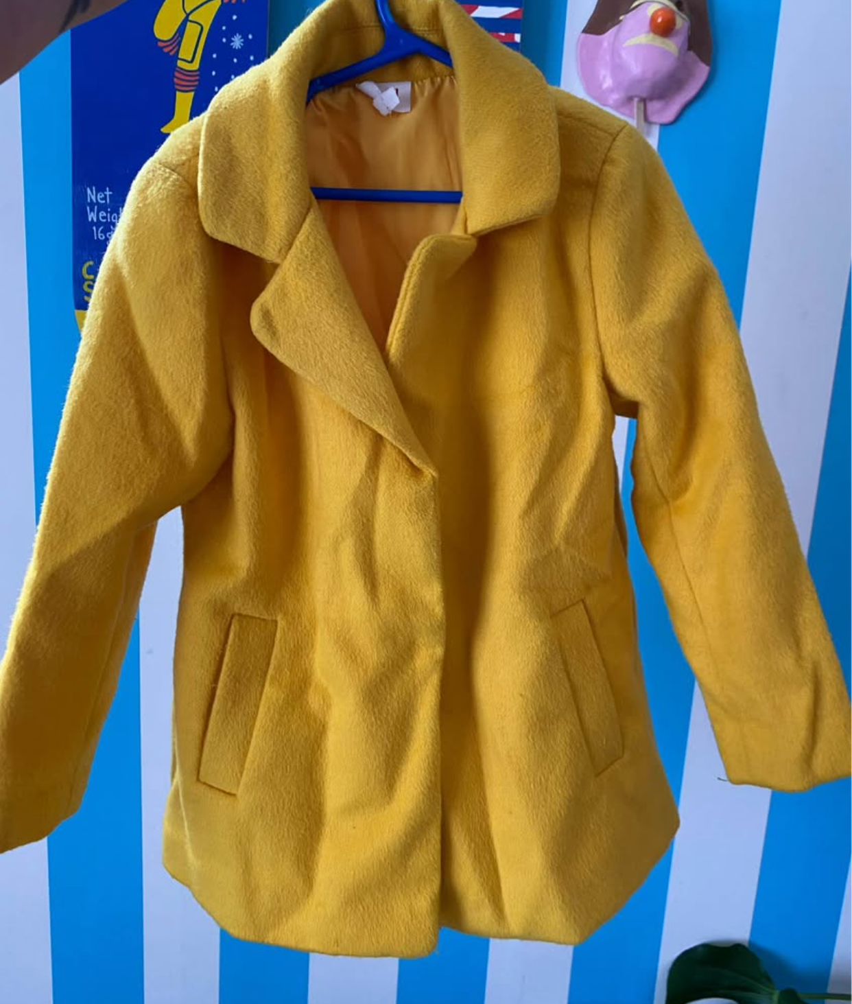 Seed Coat - Size 5