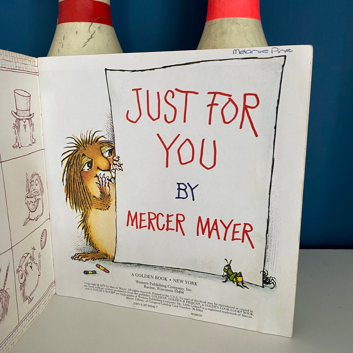 Mercer Mayer Little Critters Just For You Book