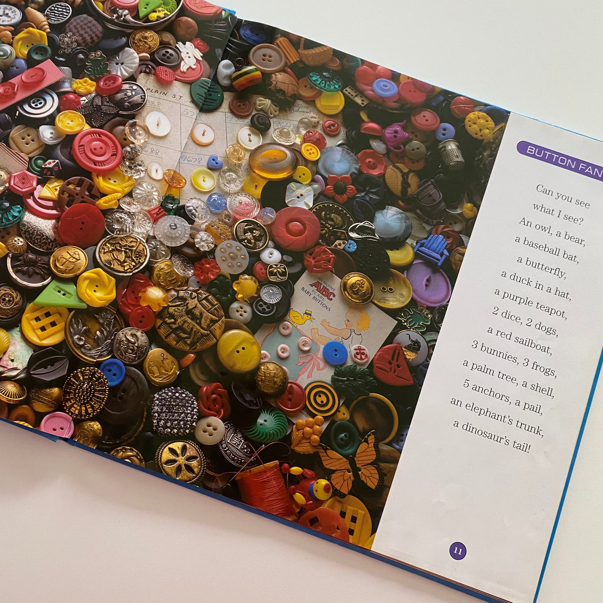 Can You See What I See? I Spy Book