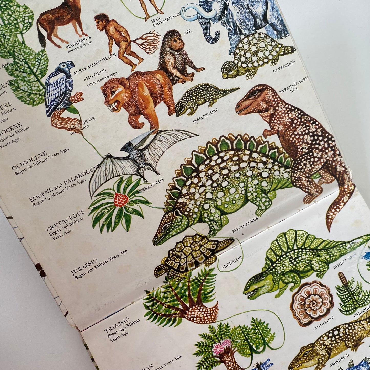 Vintage How The World Began Book