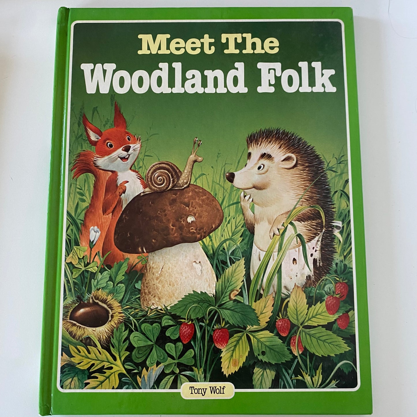 Vintage Meet The Woodland Folk Book