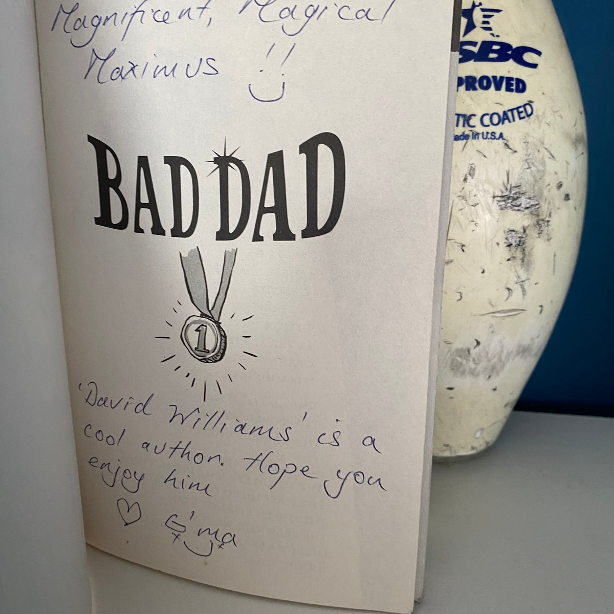 David Williams Bad Dad Chapter Book