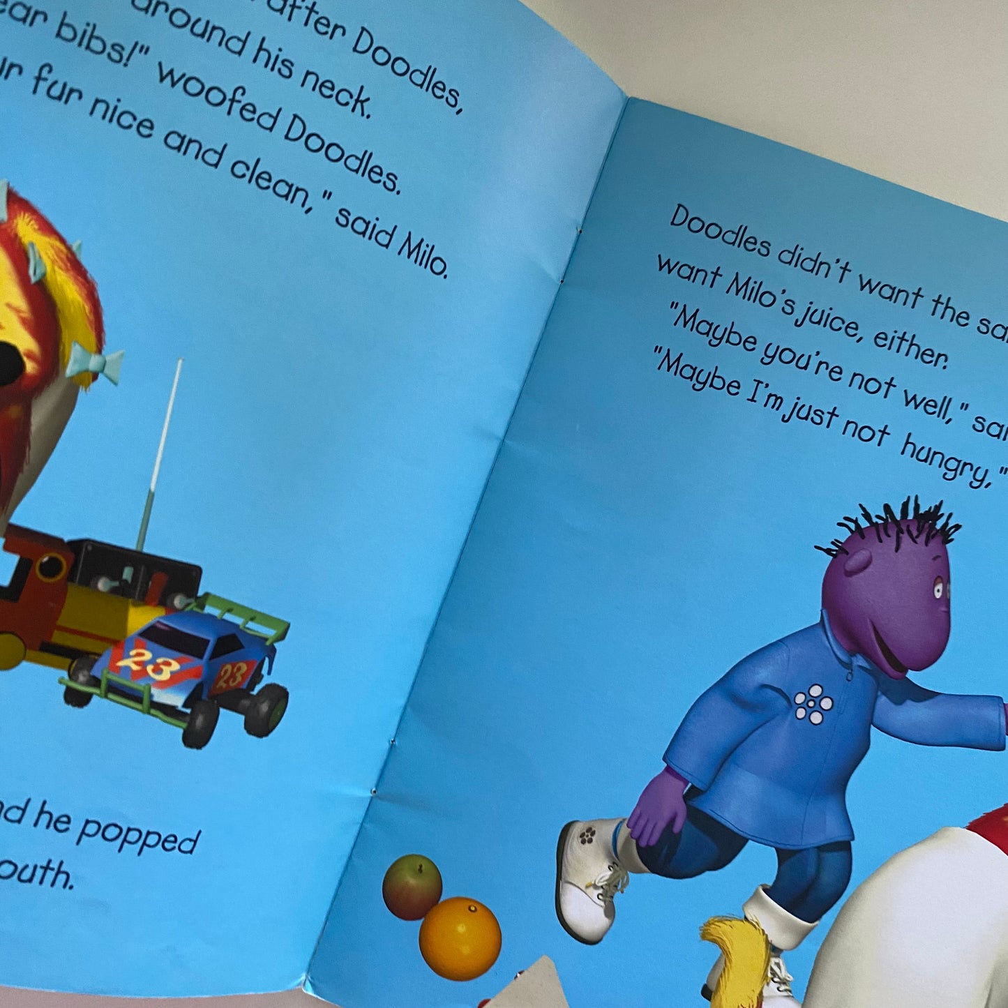 Tweenies Looking After Doodles Book