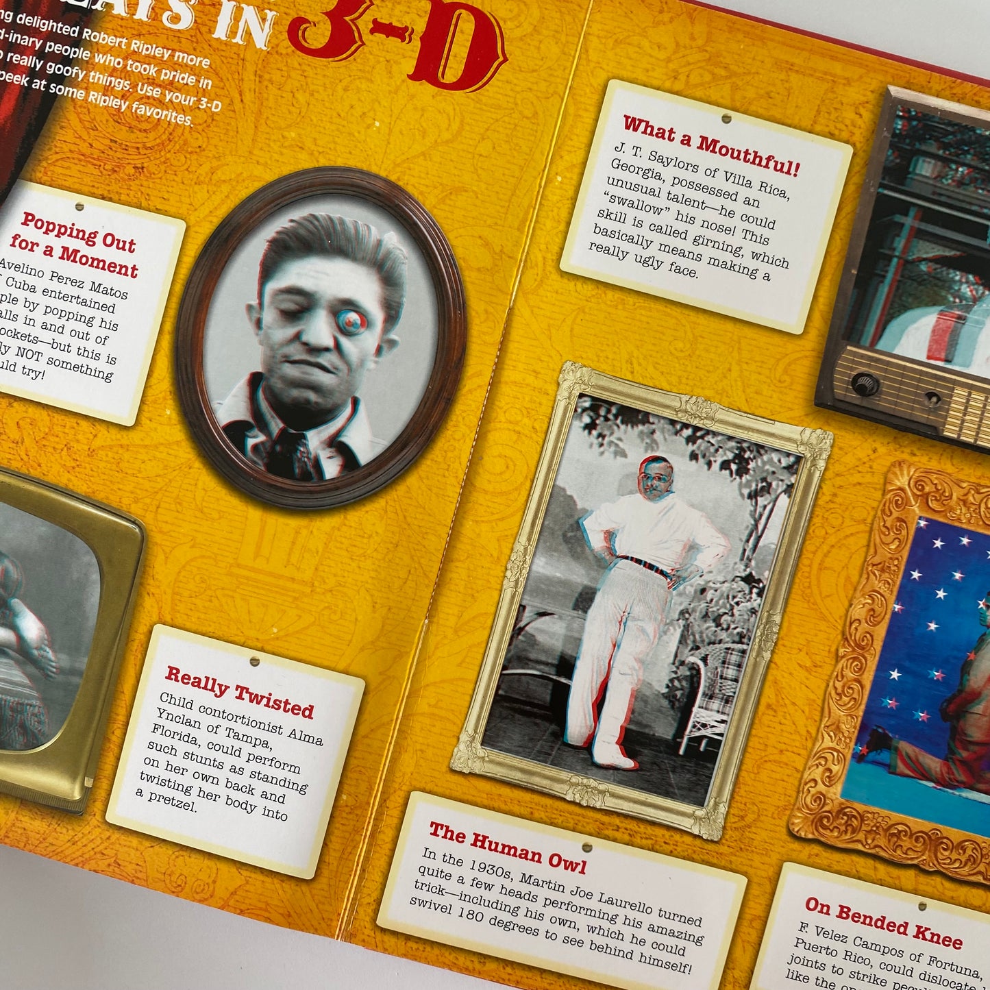 Ripley’s Believe It Or Not Virtual Odditorium Book