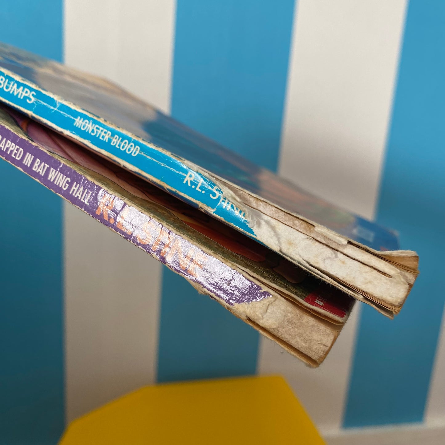 Goosebumps Chapter Book Bundle (FLAWS)
