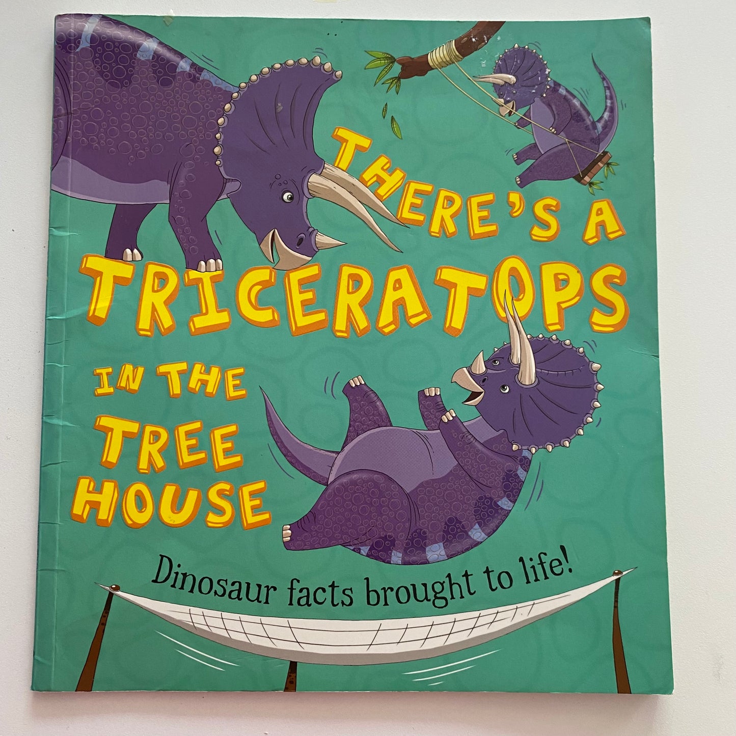 There’s A Triceratops In The Tree House Book