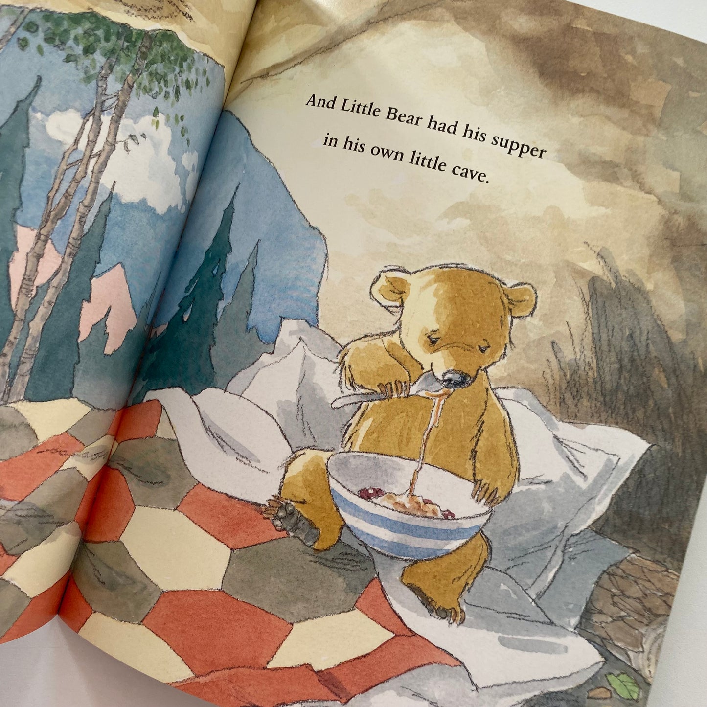 Sleep Tight Little Bear Book