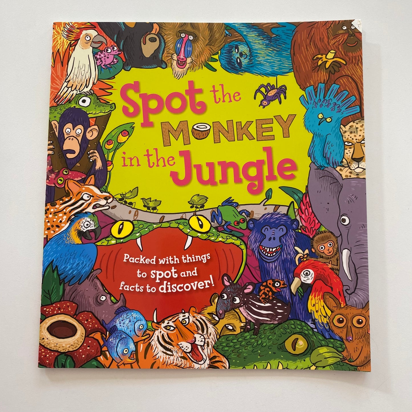 Spot The Monkey In The Jungle Look & Find Book