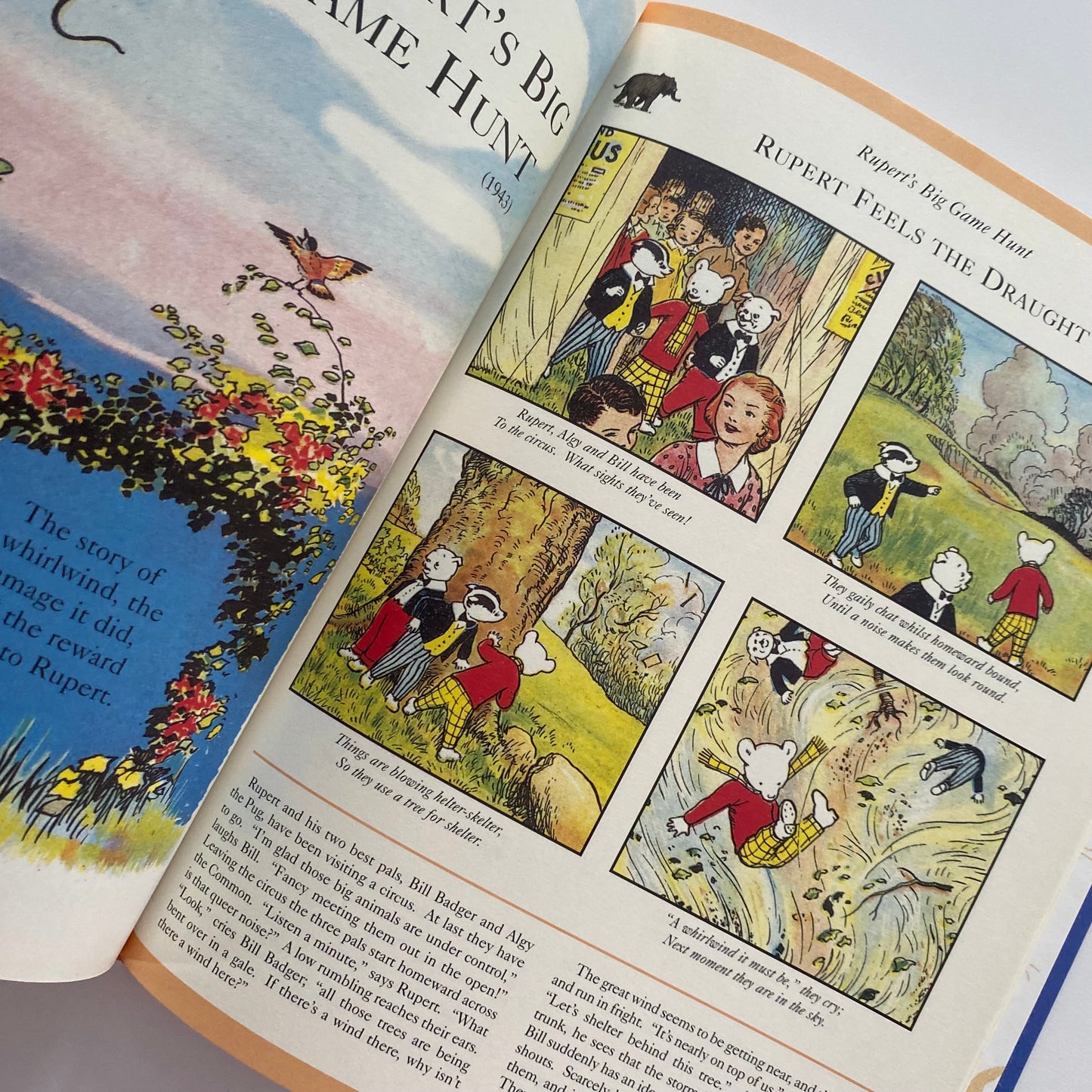 The World Of Rupert Book