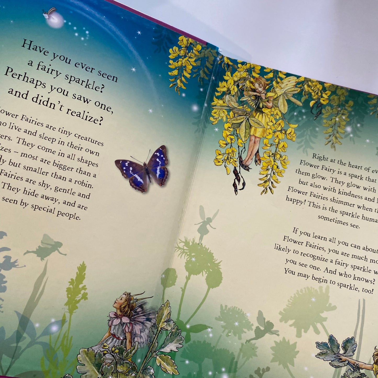 Flower Fairies Sparkle Like A Flower Fairy Book