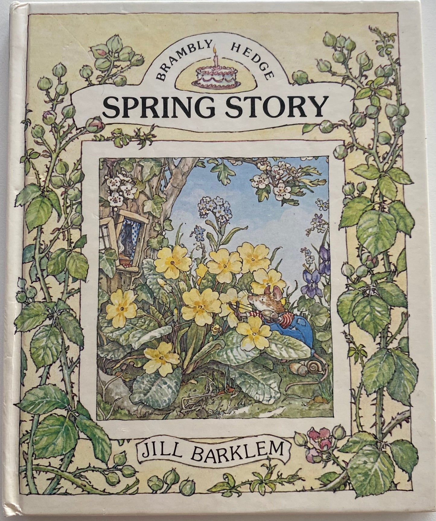 Brambly Hedge Spring Story Book