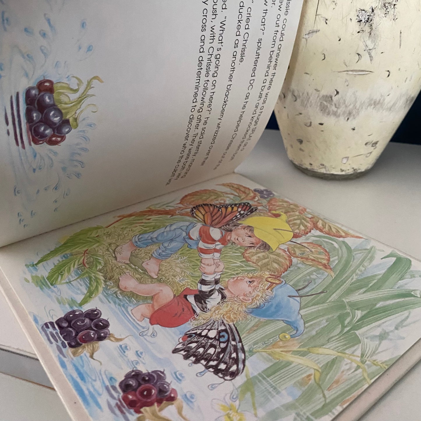 The Butterfly Children Finders Keepers Book