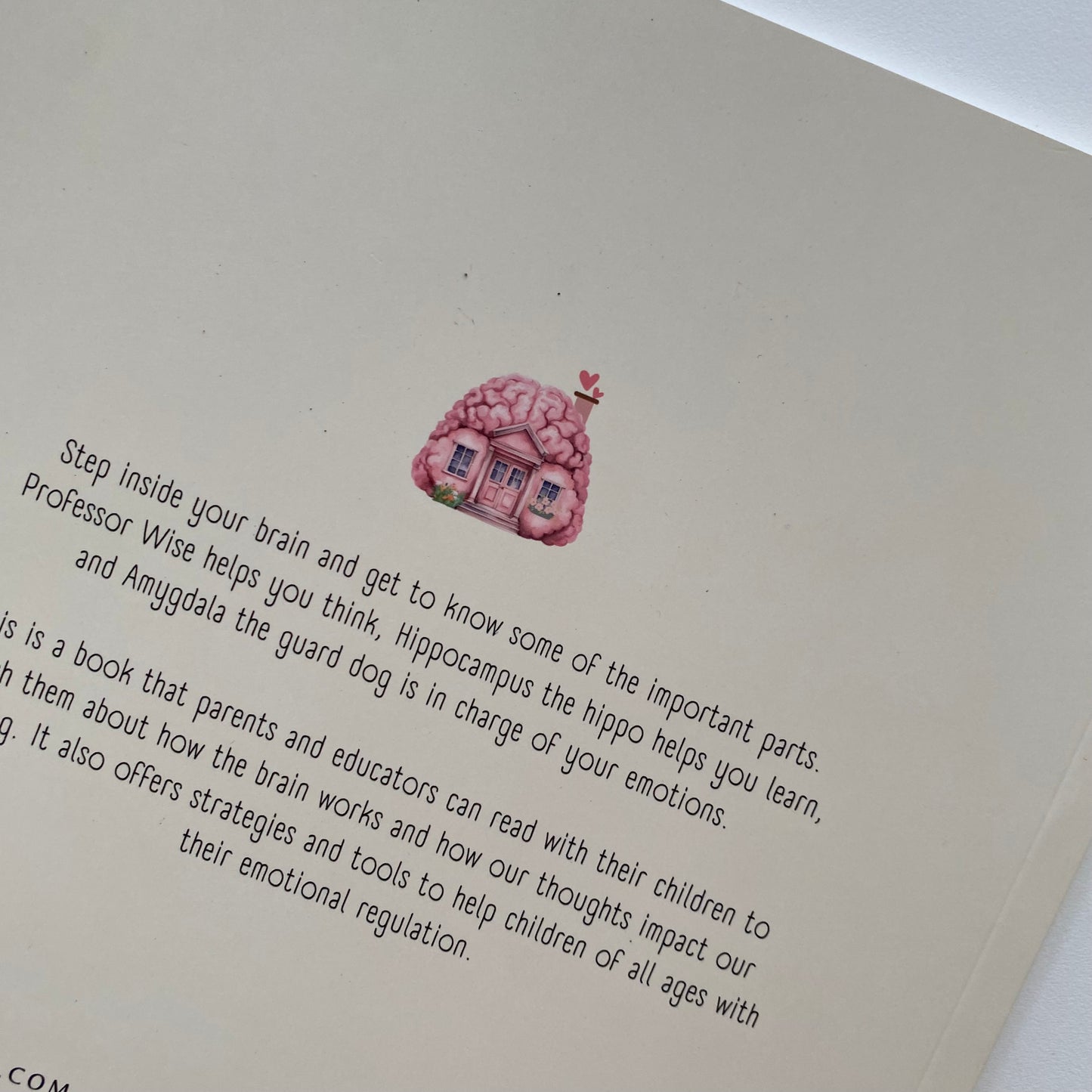 My Brain Is A Home Book