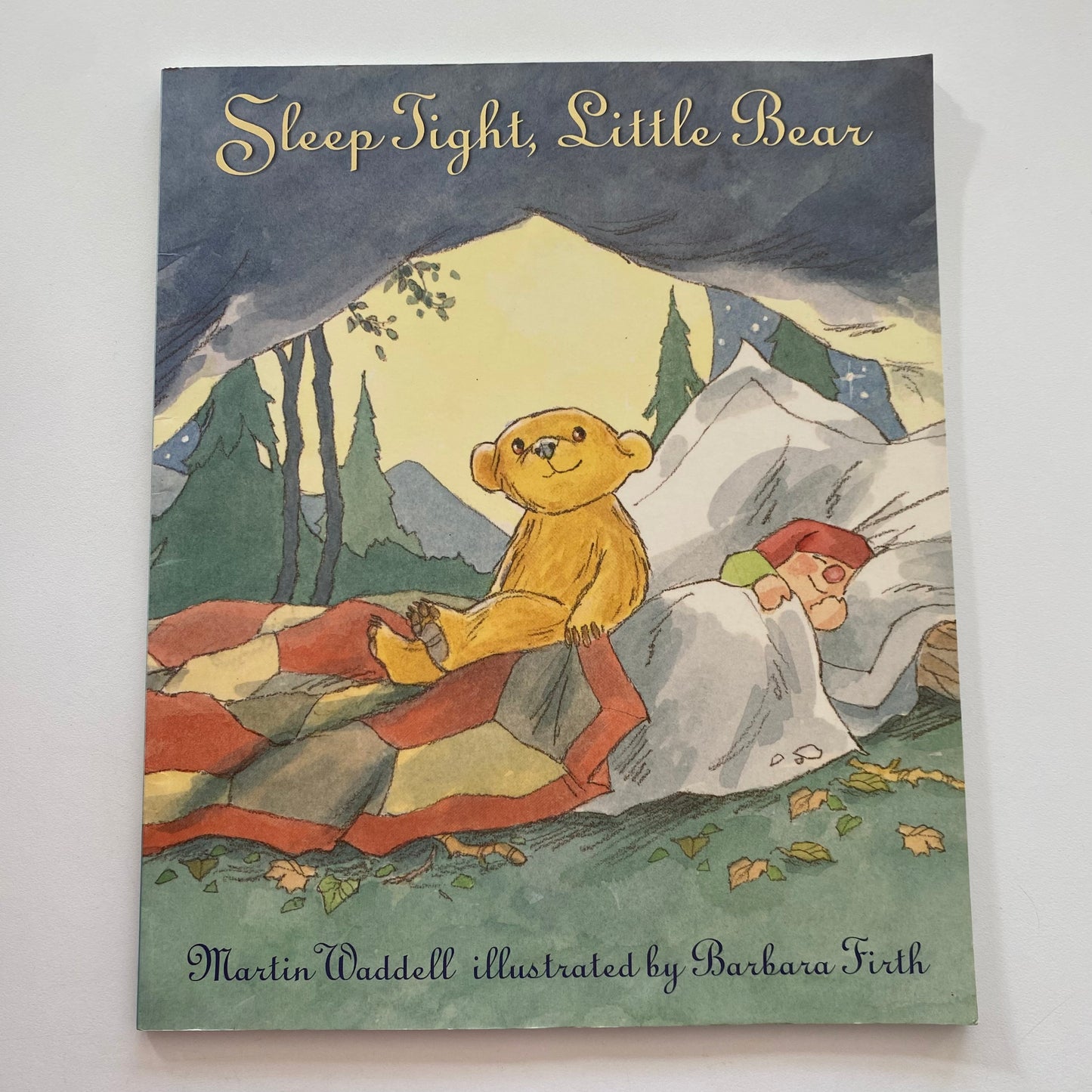 Sleep Tight Little Bear Book