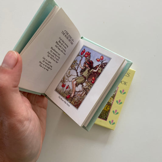 Flower Fairies Mini Book Bundle