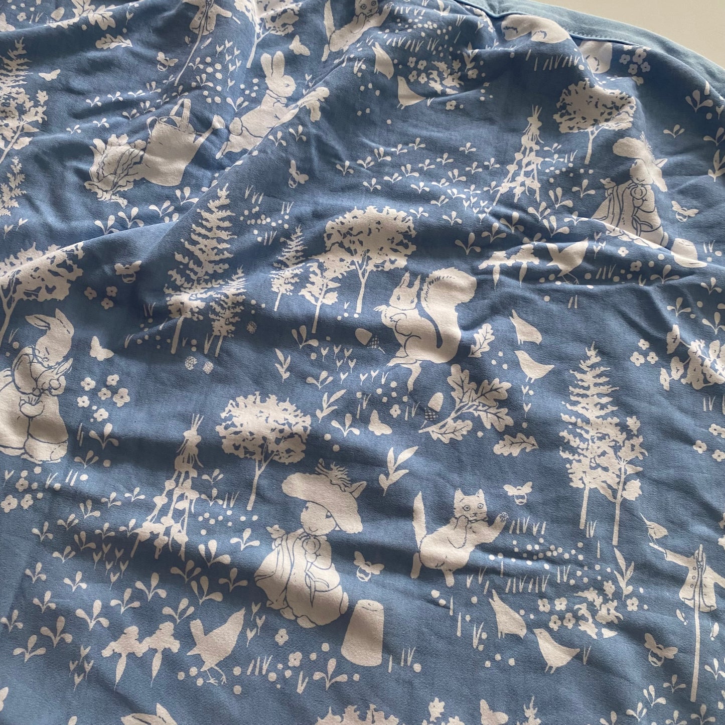 Beatrix Potter Peter Rabbit Wrap/Swaddle