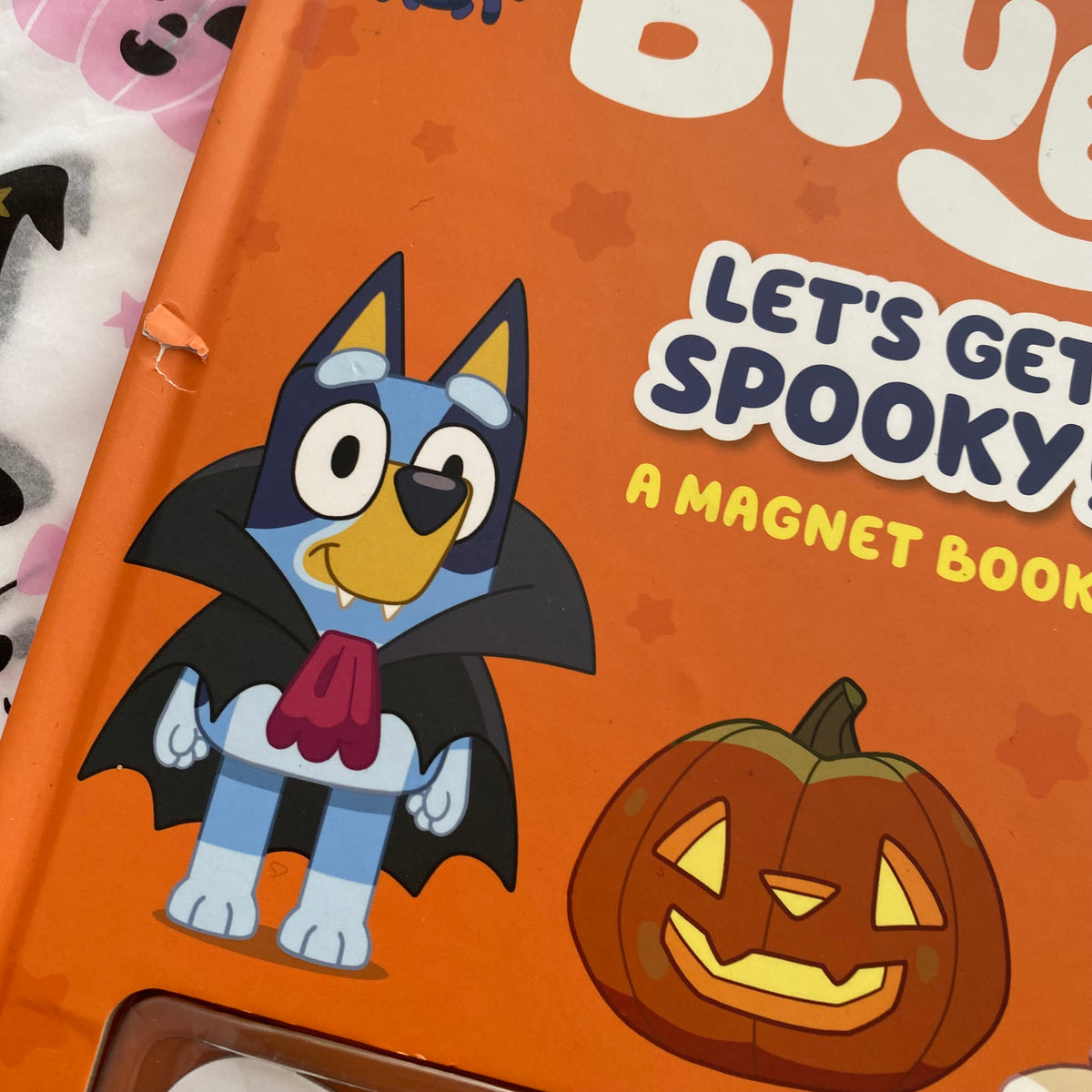 Bluey Let’s Get Spooky Magnet Book