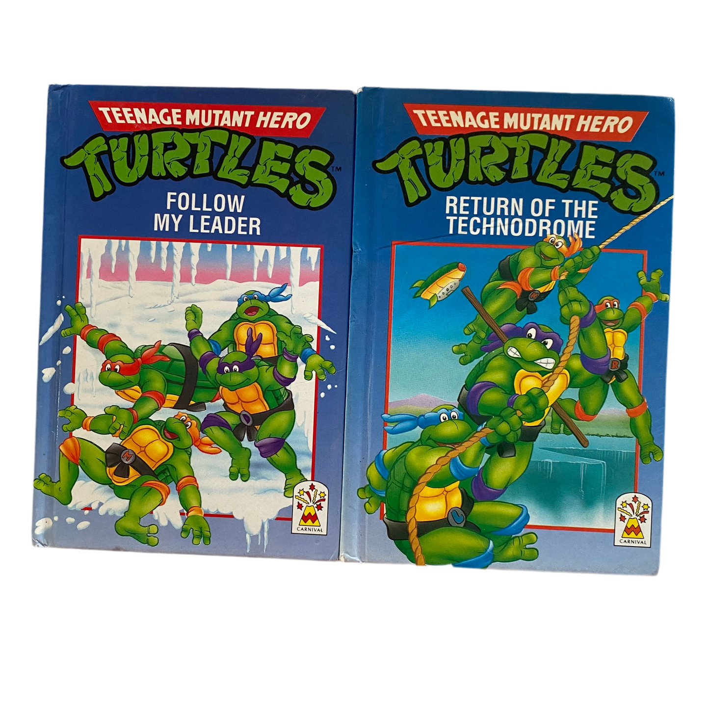 TMNT Ninja Turtles Books