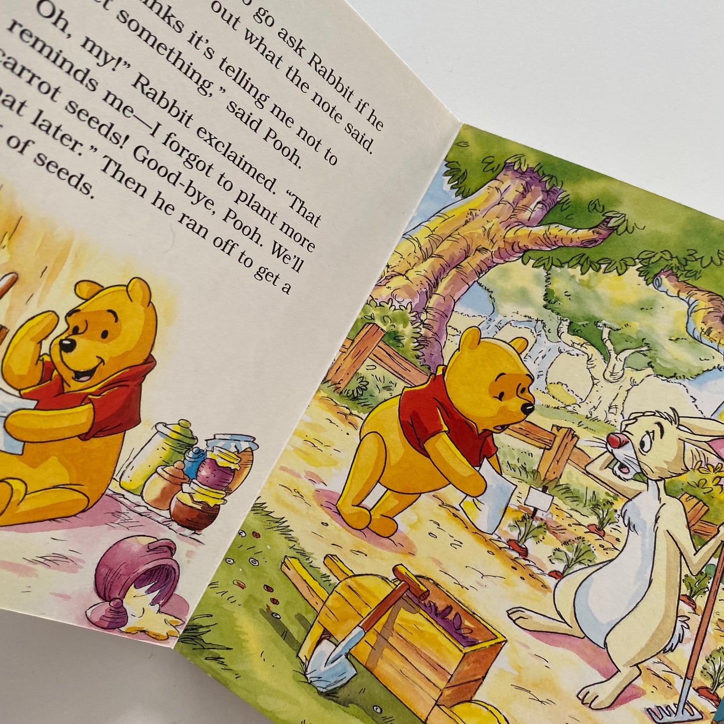 Winnie The Pooh Board Book Bundle