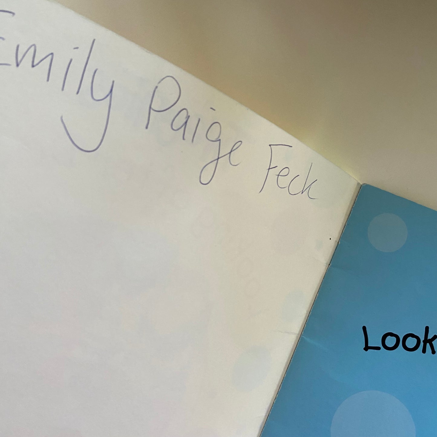 Tweenies Looking After Doodles Book