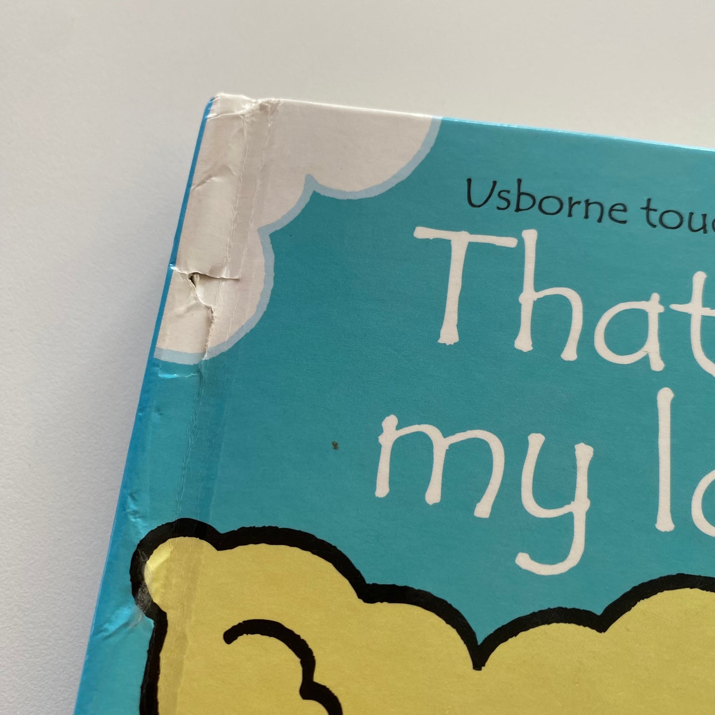 That’s Not My… Lamb Book