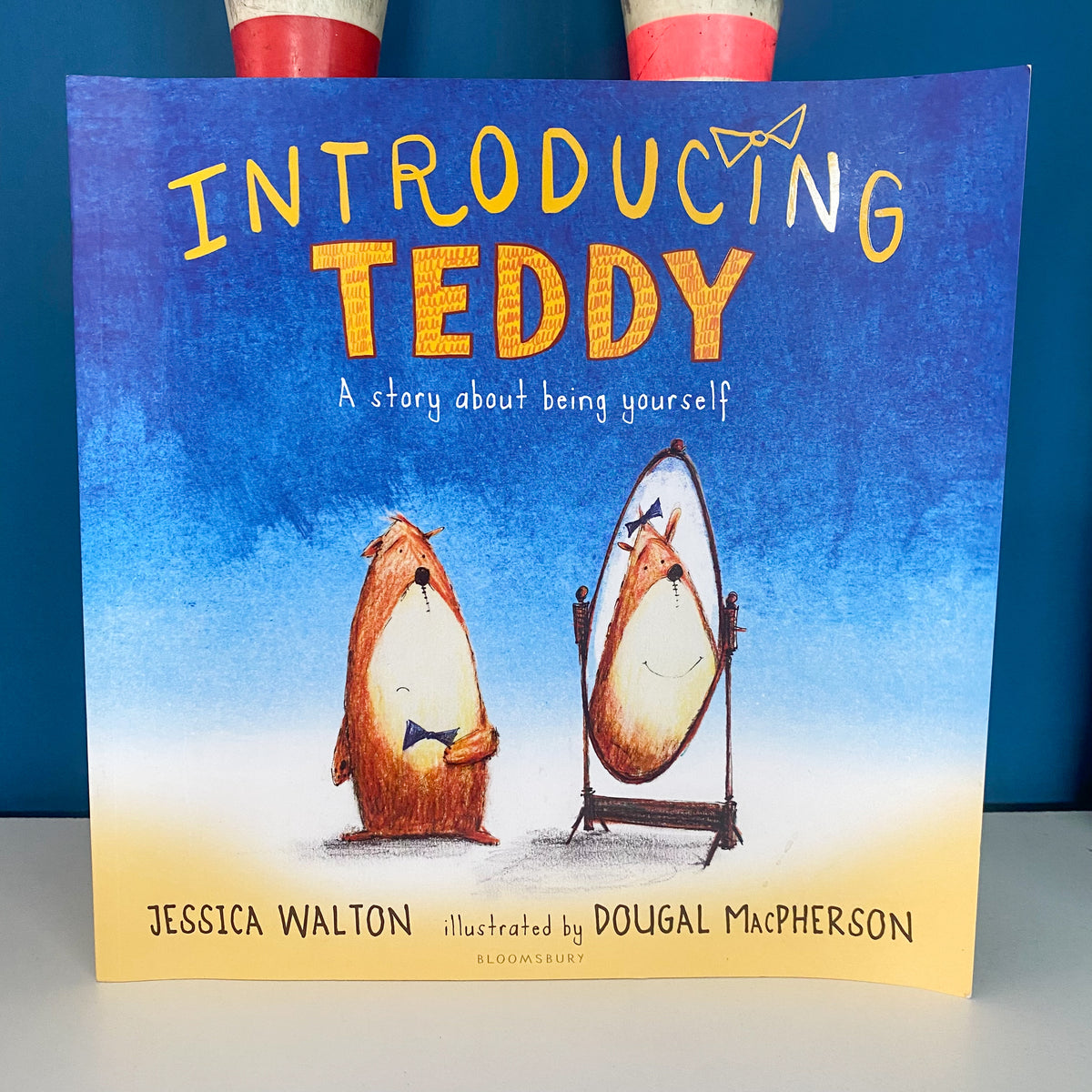 Introducing Teddy Book