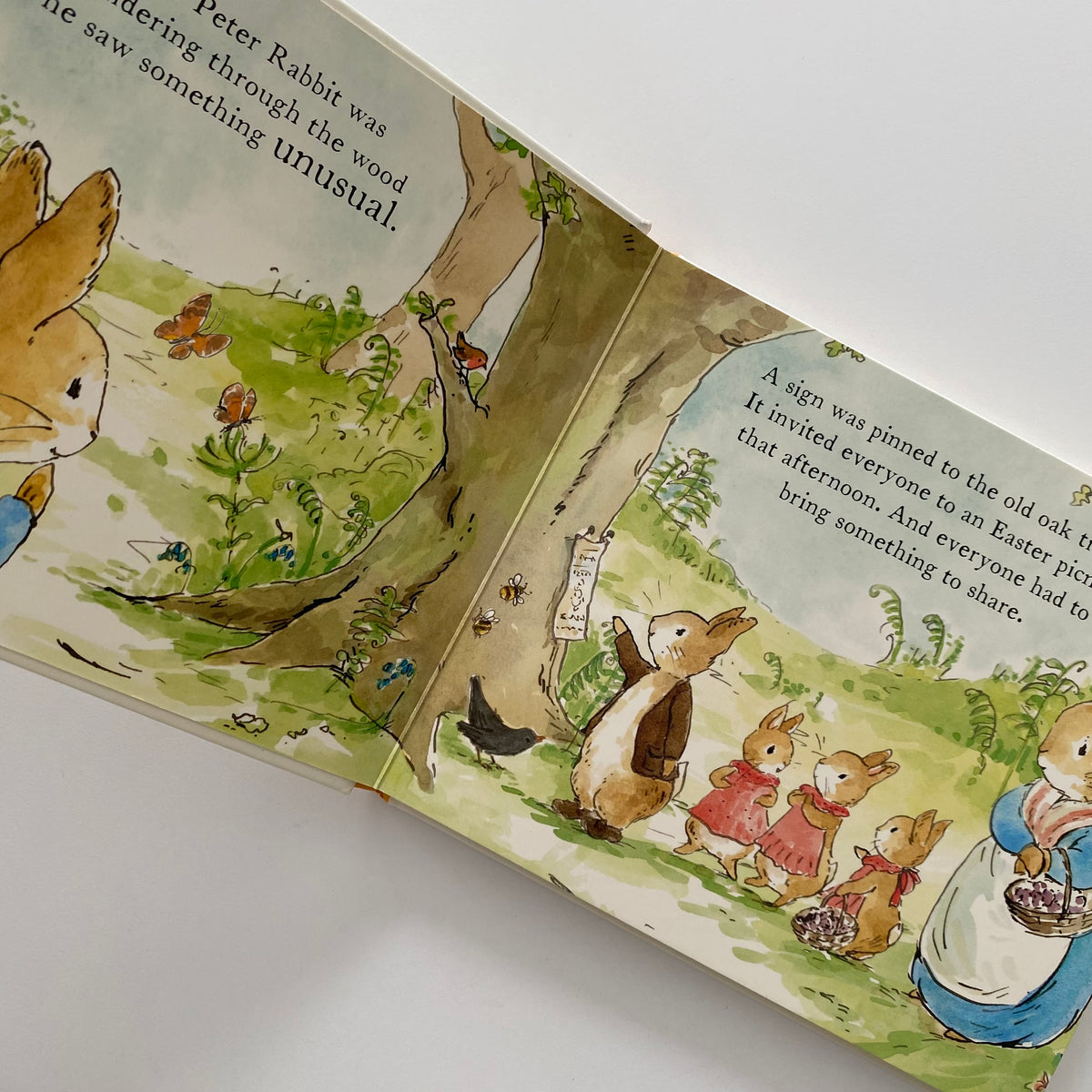 Beatrix Potter Peter Rabbit A Spring Surprise Board Book