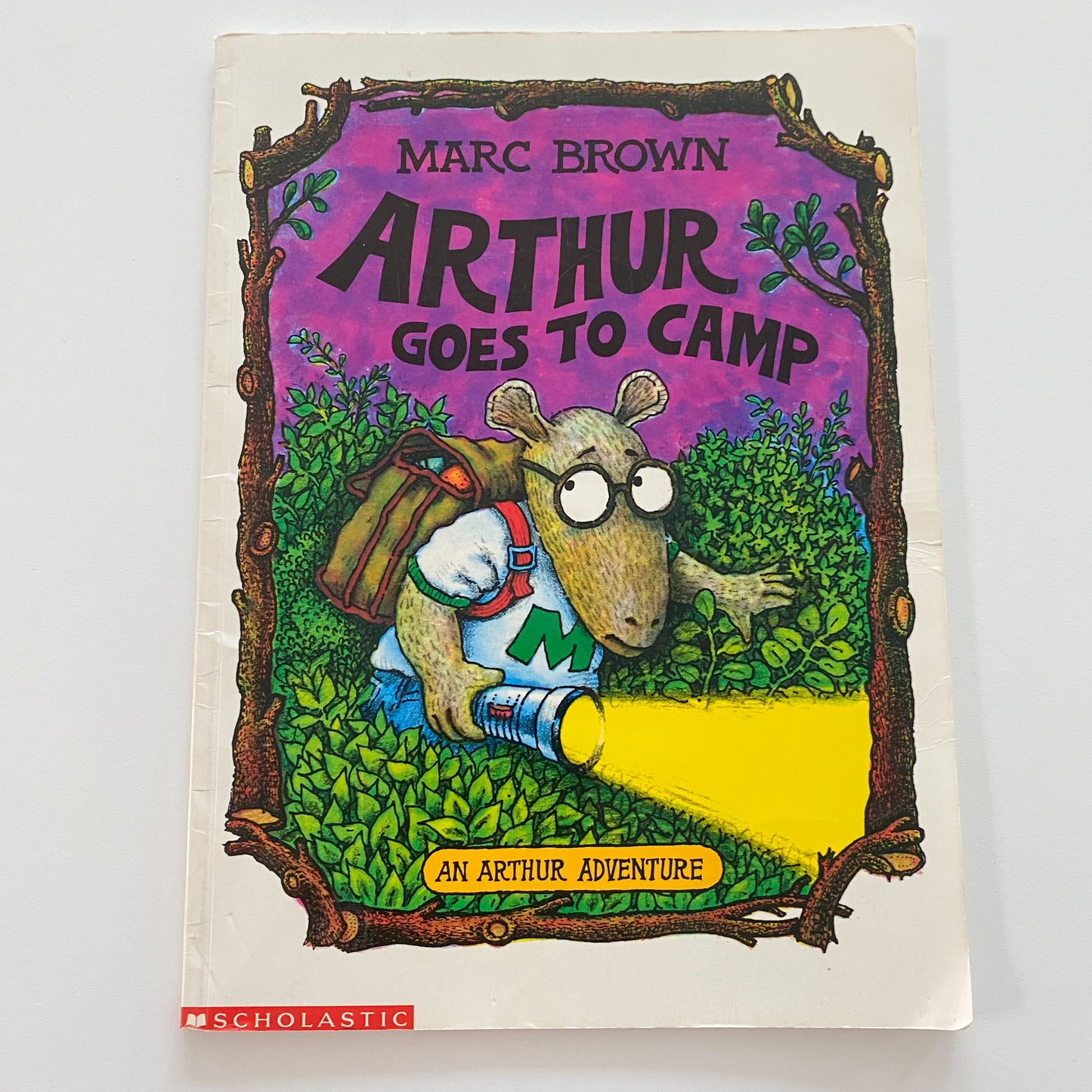 Arthur Goes To Camp Book