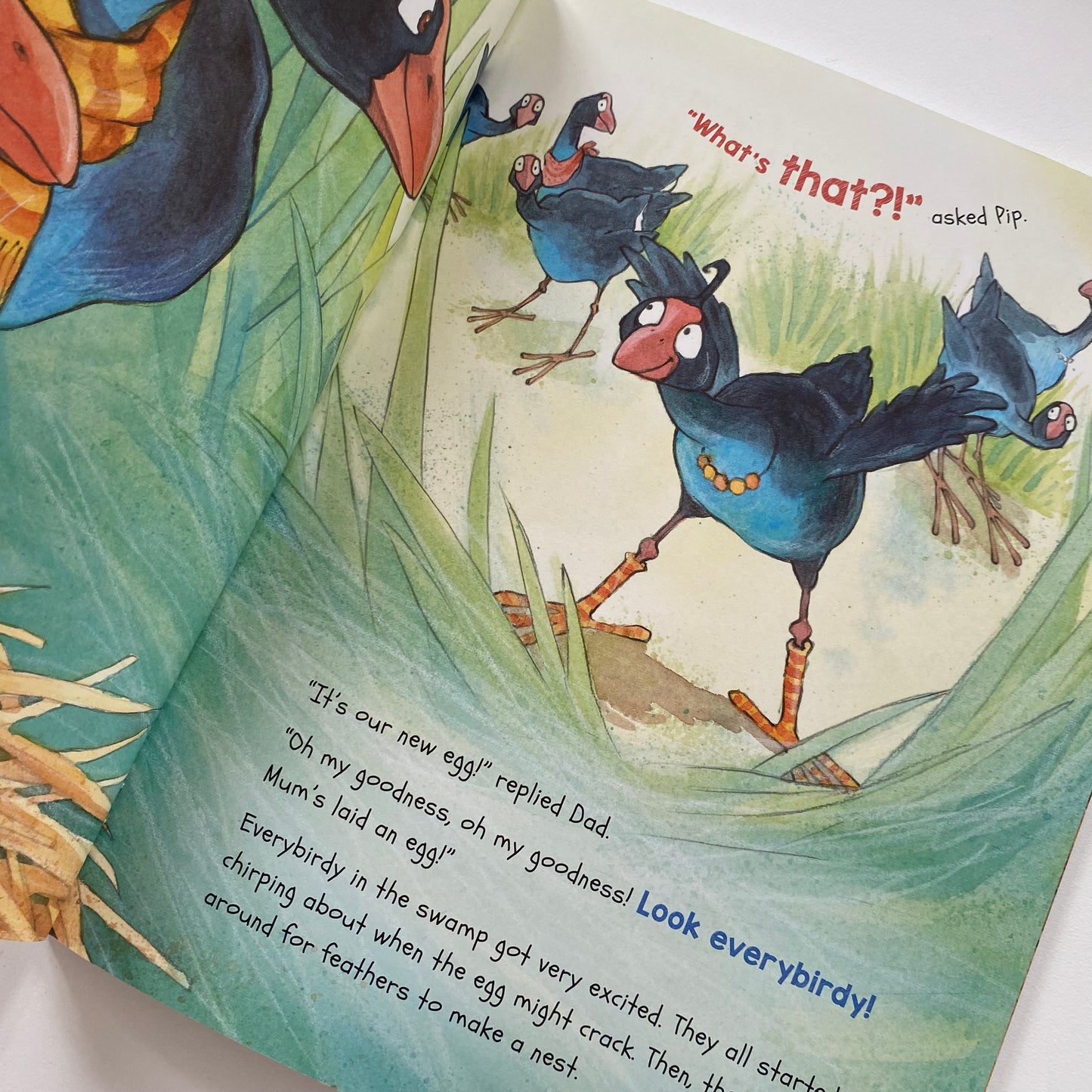 Earlybird Book