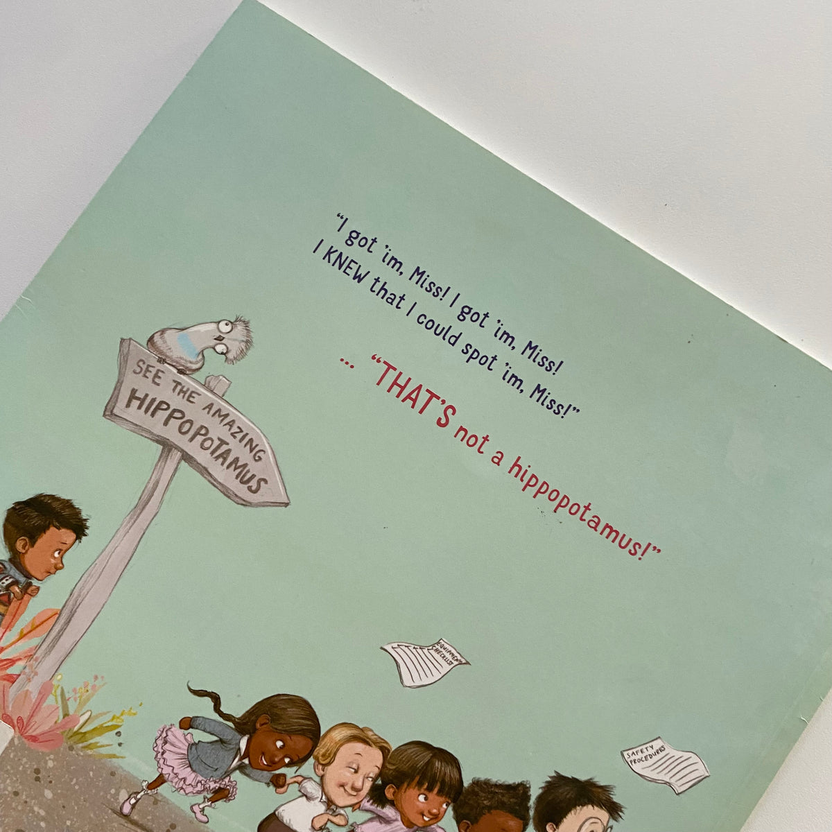 That’s Not A Hippopotamus! Book