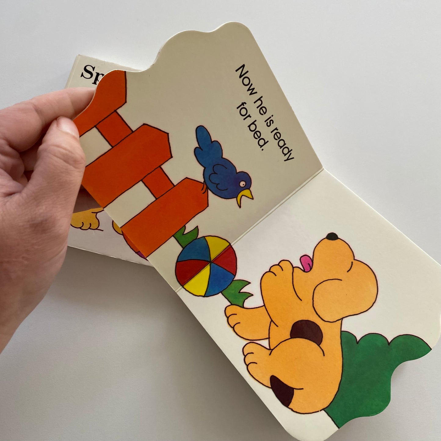 Eric Hill Spot Board Book Bundle