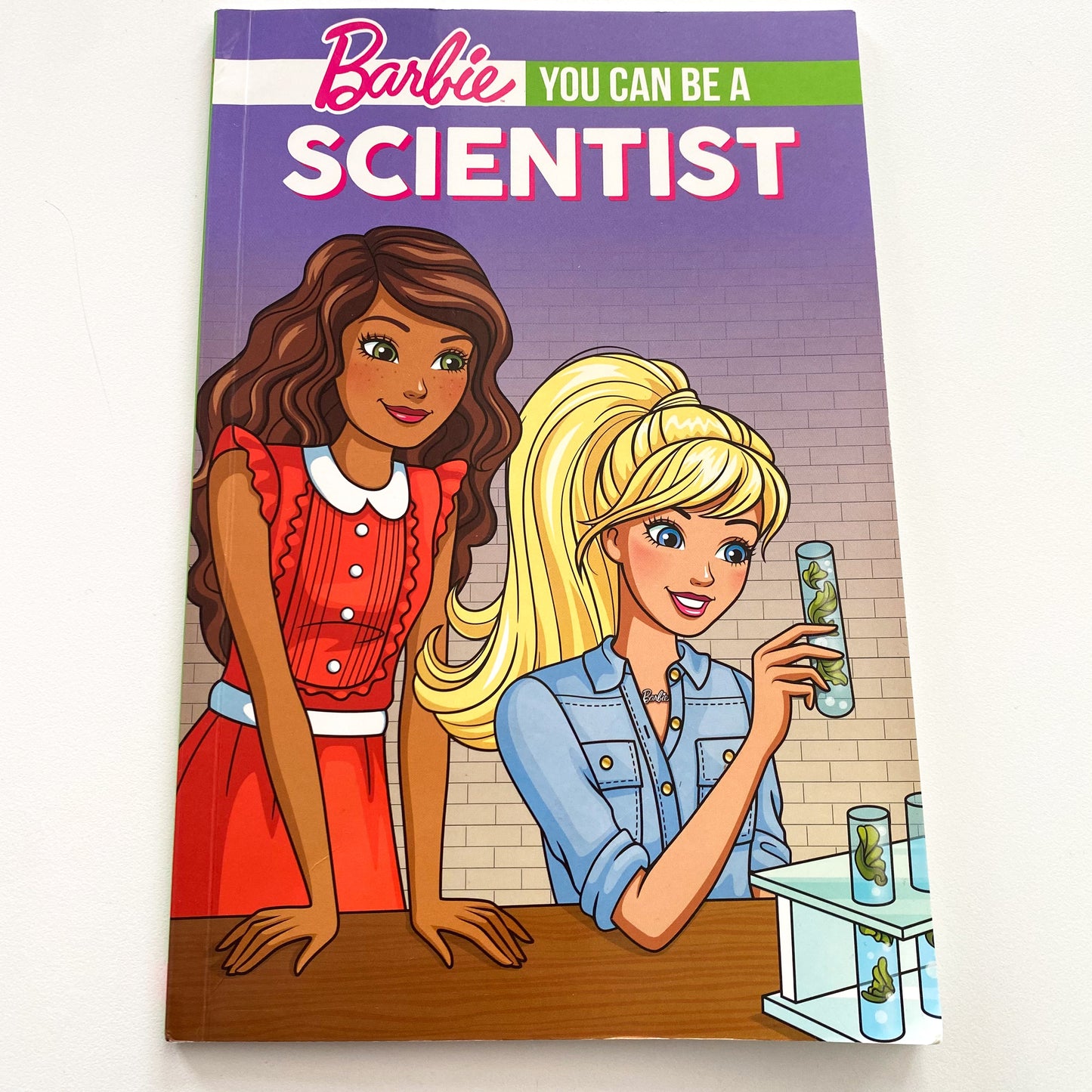 Barbie You Can Be A Scientist Learn To Read Book