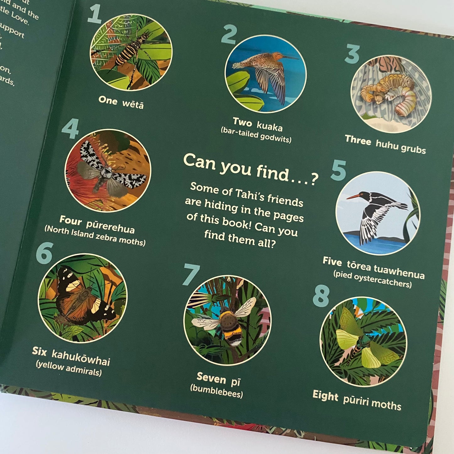 Te Reo Māori Tu Meke Tuatara Book