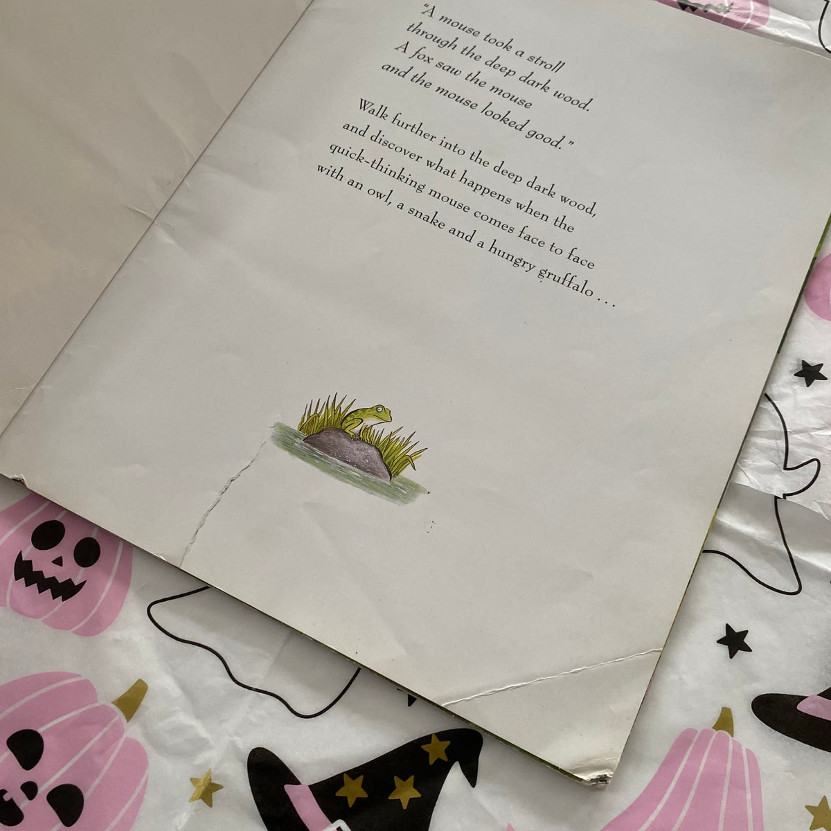 Julia Donaldson Axel Scheffler The Gruffalo Book