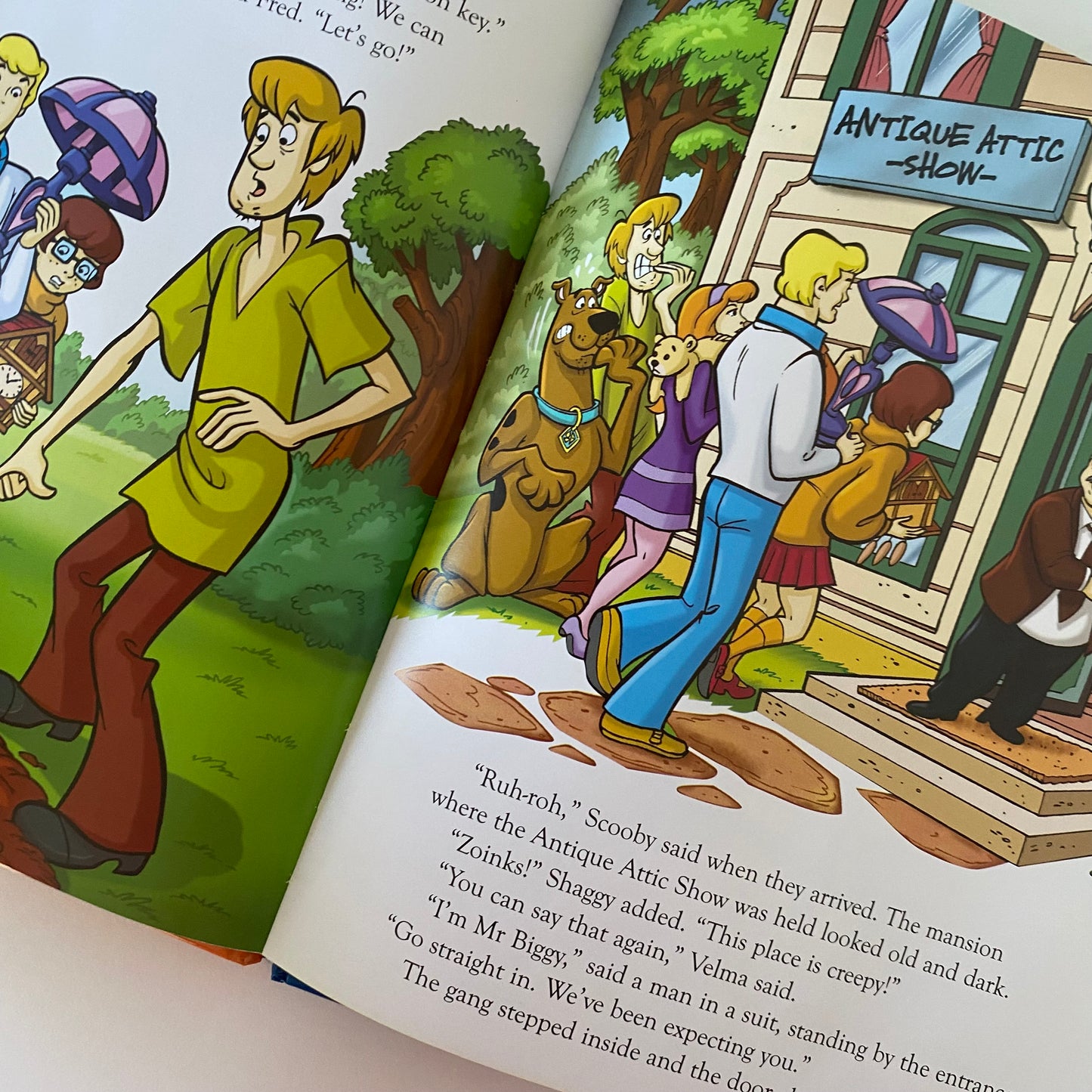 Scooby Doo Book