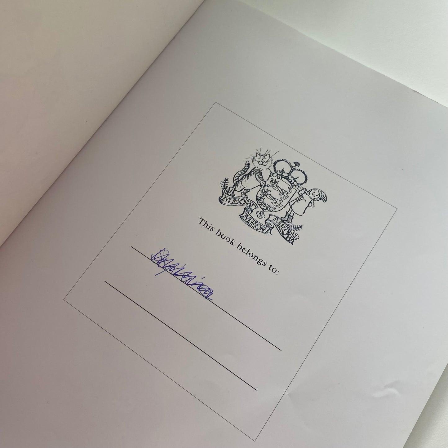 Greedy Cat & The Sneeze Book