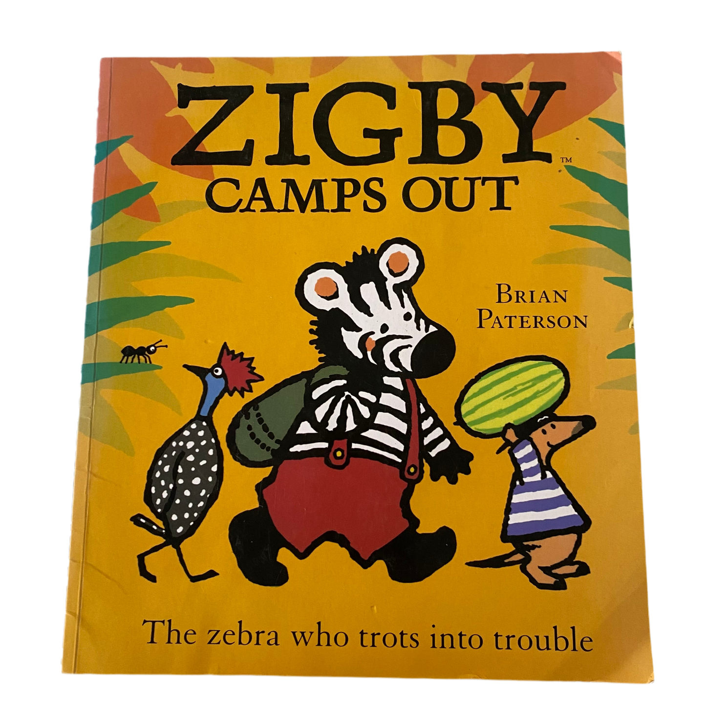 Zigby Camps Out Book