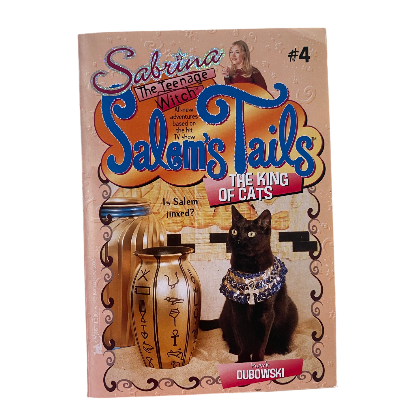 Sabrina The Teenage Witch Chapter Book