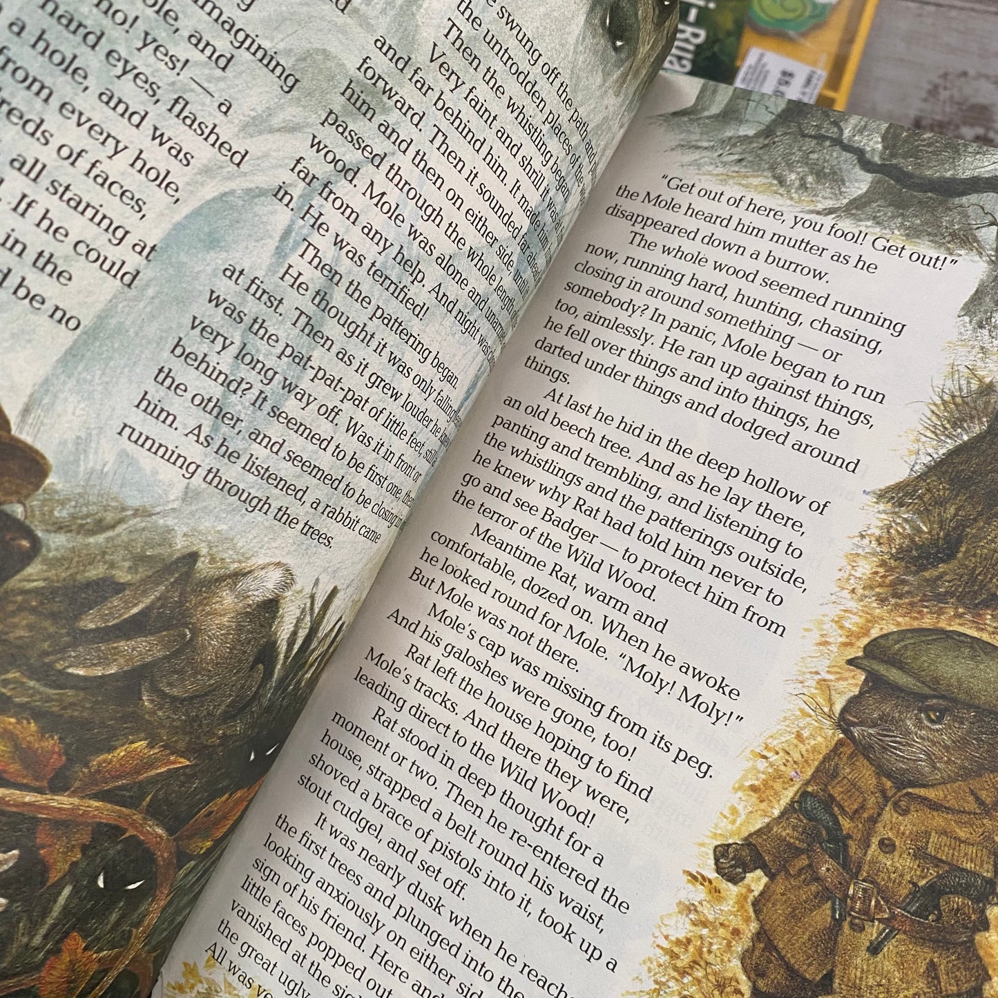 Vintage Wind In The Willows Book