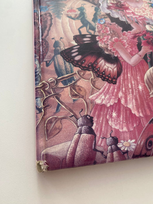 Shirley Barber Fairy Stories Book