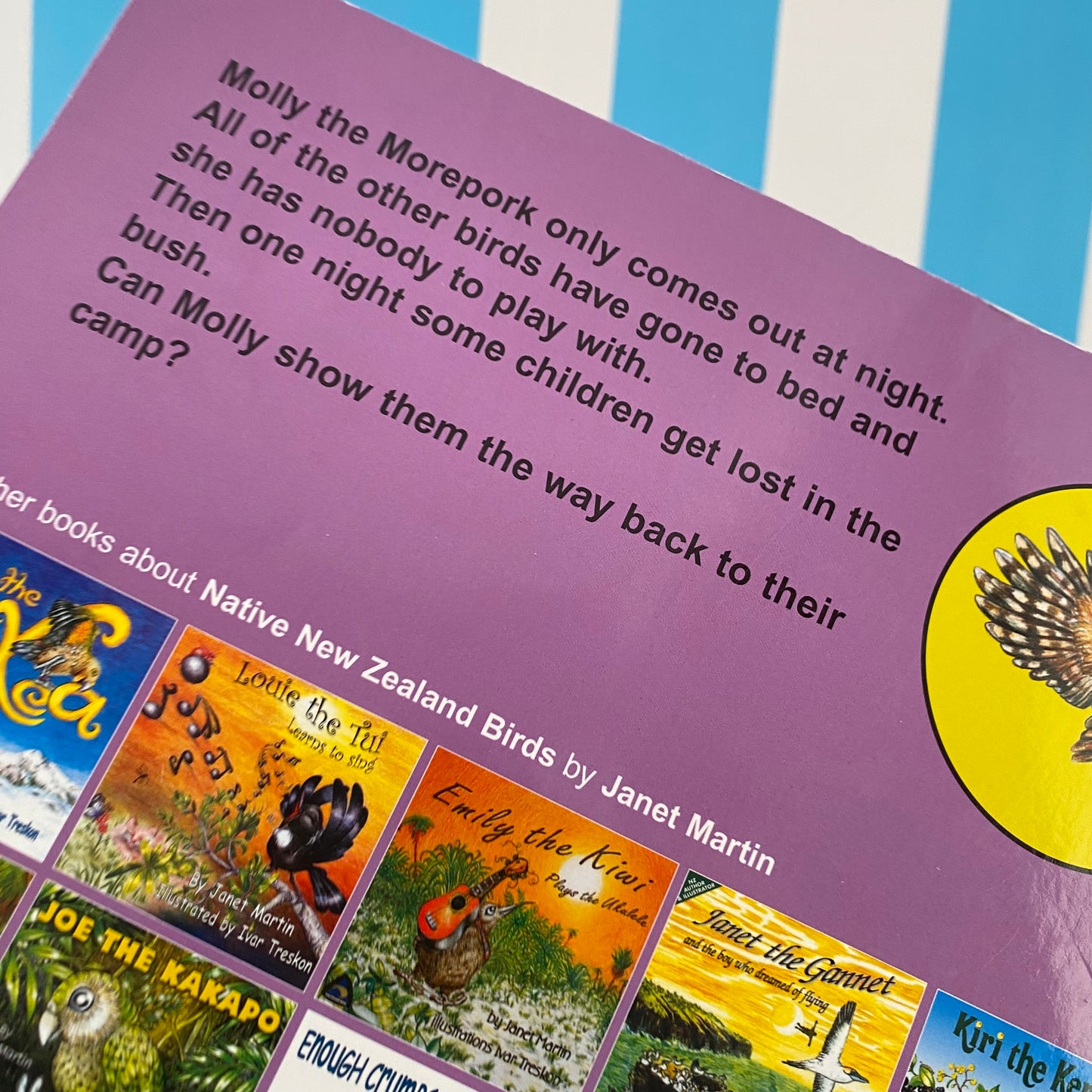 Molly Morepork & The Lost Campers Book