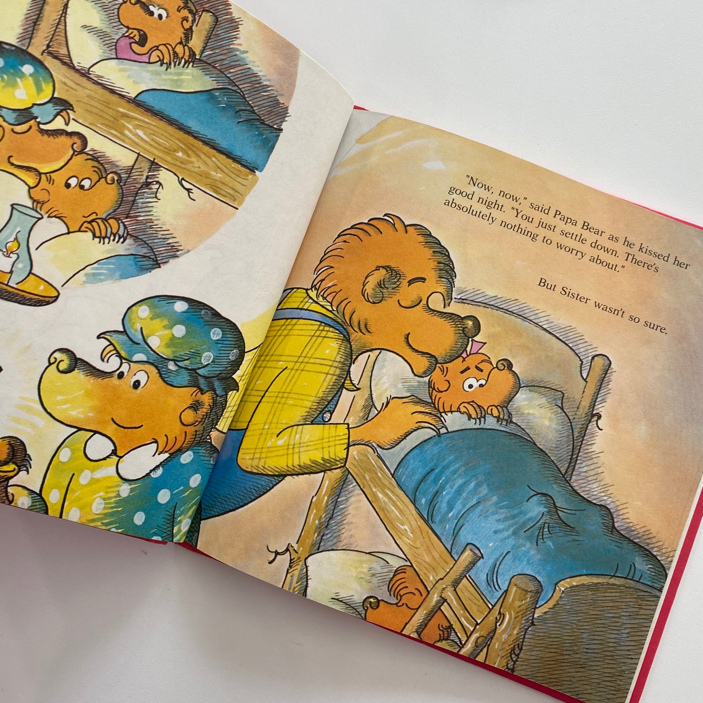 The Berenstain Bears Go To The Doctor Book