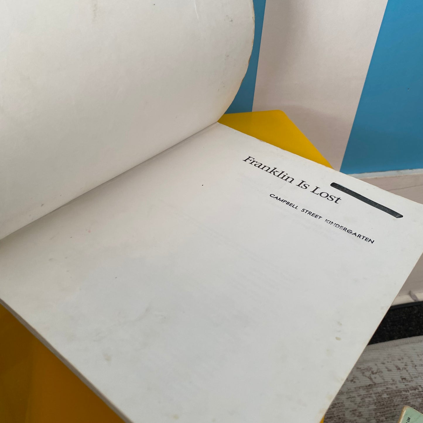 Franklin Is Lost Book