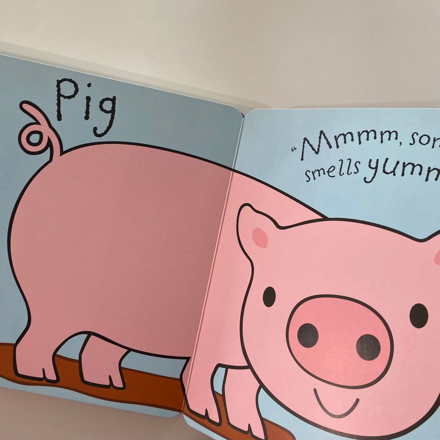 Whose Nose? Lift The Flap Book